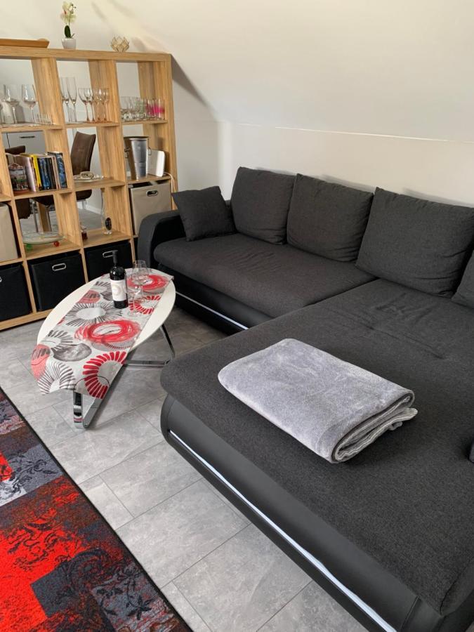 Ferienwohnung Sunny - Moderne Ferienwohnung Im Gruenen In Saarbruecken-West Экстерьер фото